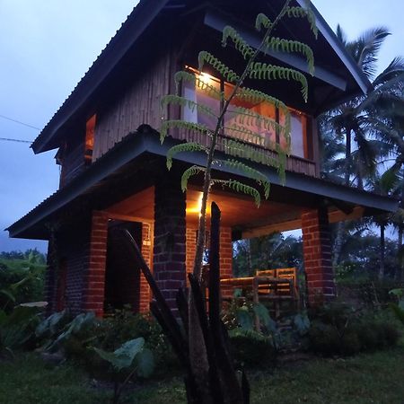 Coconut Homestay Tetebatu Extérieur photo