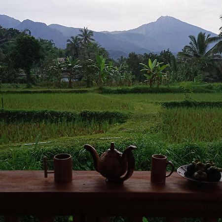 Coconut Homestay Tetebatu Extérieur photo