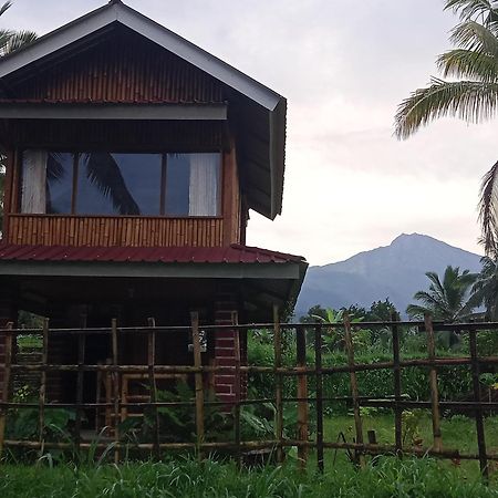 Coconut Homestay Tetebatu Extérieur photo