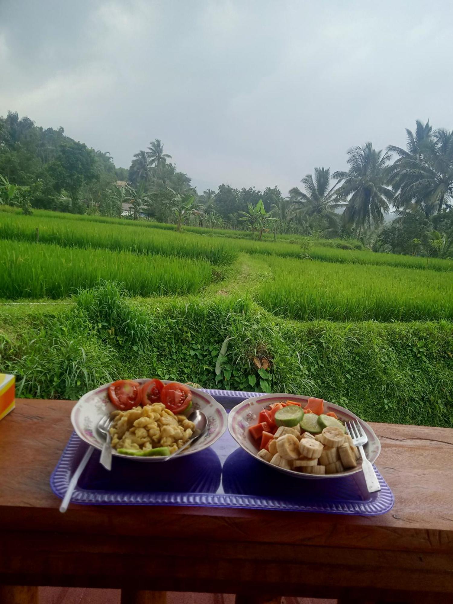 Coconut Homestay Tetebatu Extérieur photo