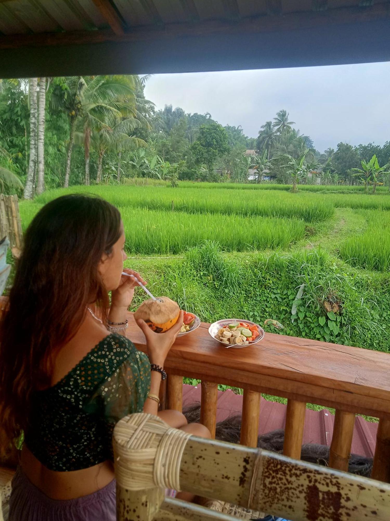 Coconut Homestay Tetebatu Extérieur photo