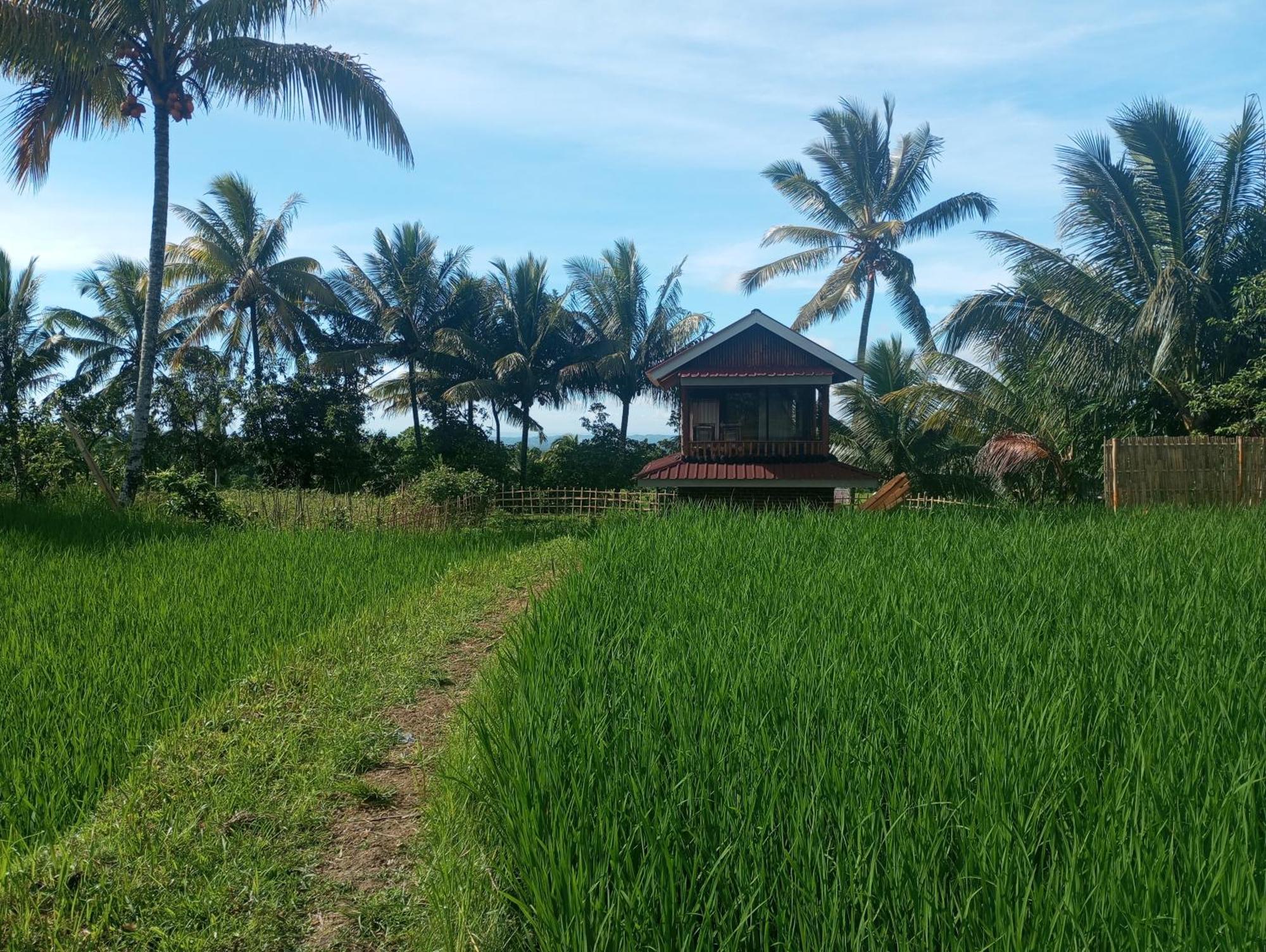 Coconut Homestay Tetebatu Extérieur photo