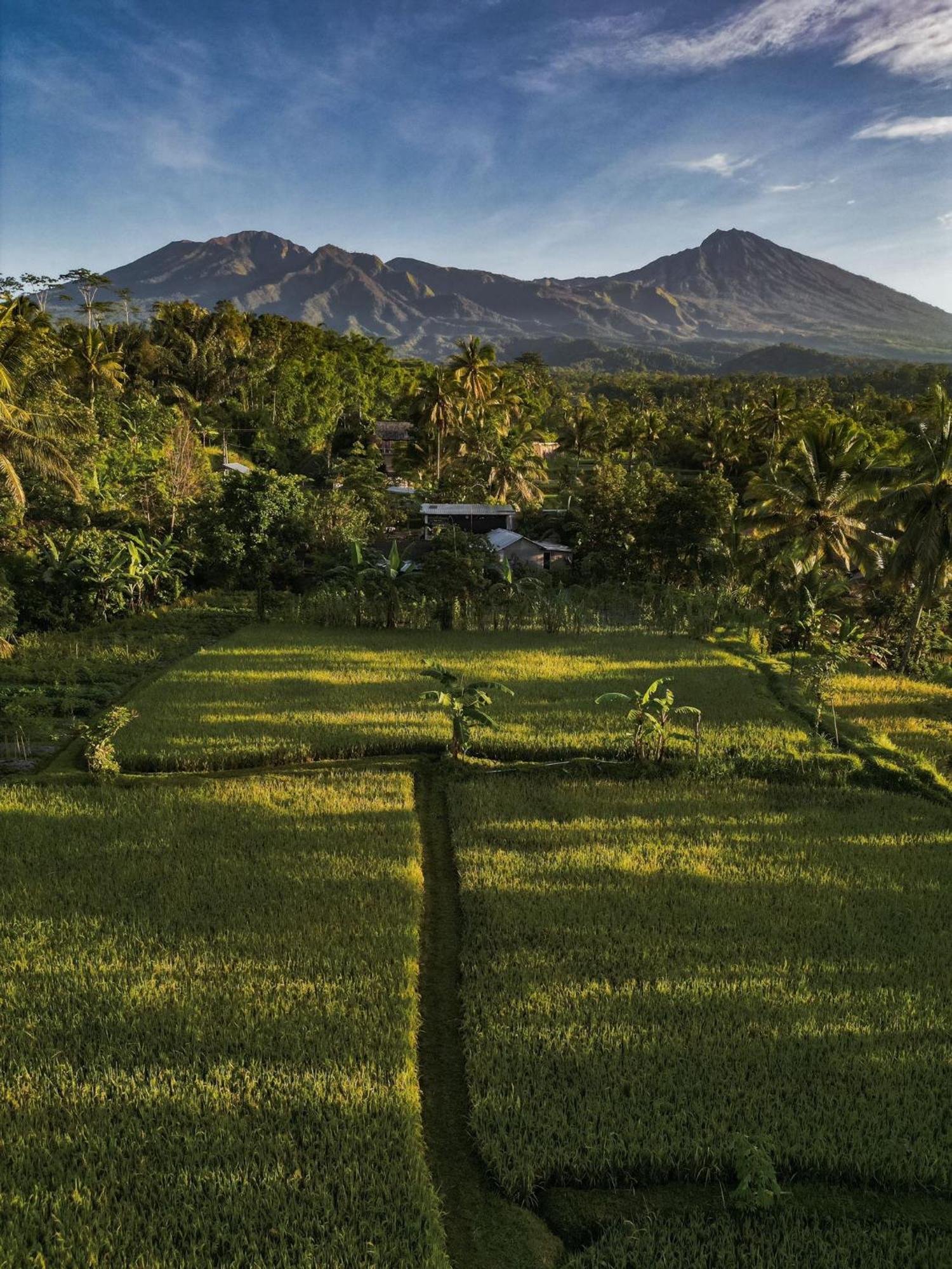 Coconut Homestay Tetebatu Extérieur photo