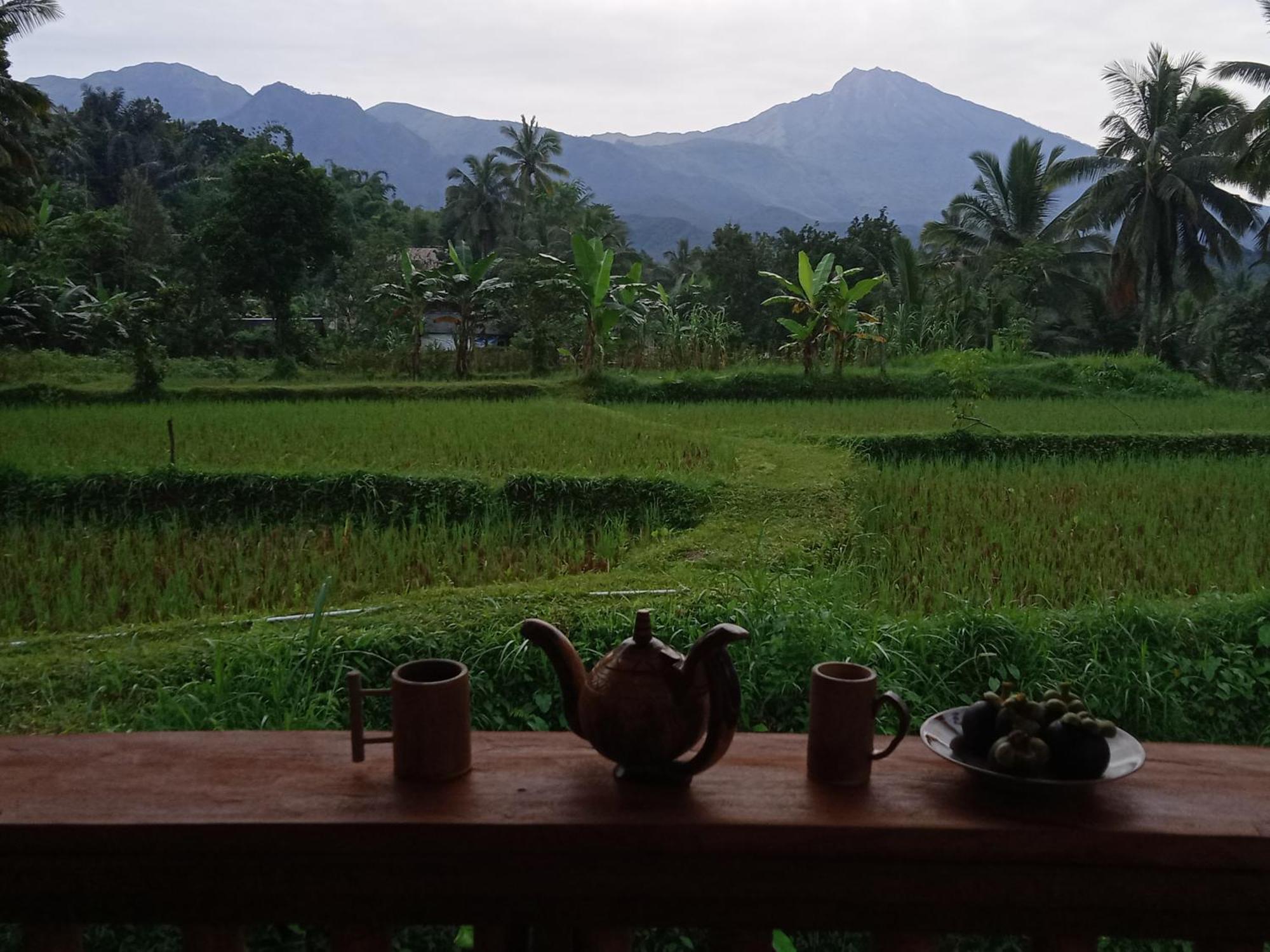 Coconut Homestay Tetebatu Extérieur photo